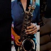 Ирина Круг Бокал Бакарди Sax Cover