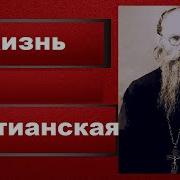 Как Жить Сегодня Игумен Никон Воробьёв