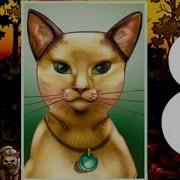 Звездоцап И Саша Слушать Книгу