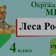 А А Плешакова 4 Класс Окружающий Мир 1 Часть Страница 95 102