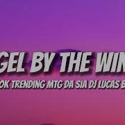 Mtg Da Sia Angel By The Wings Tiktok Remix