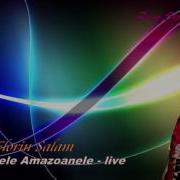 Florin Salam Joaca Fetele Live