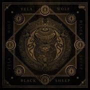 Turn Up In Tijuana Yelawolf Caskey