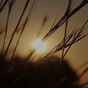 Ｃｉｇａｒｅｔｔｅ Ｂｒｅａｋ Aetheral Vaporwave Soft Dreamwave Calm Ambient