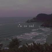 I M So Sad