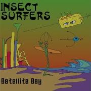 Insect Surfers Twenty 9