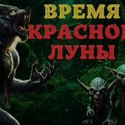 Истории Про Оборотней
