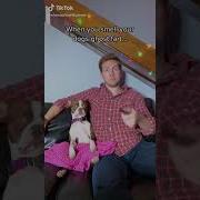 Terrier Tik Tok