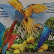 Мухыкальная Книга Маугли Азбукварик