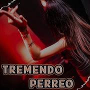 Suena Dj Pachi