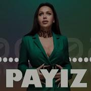 Payiz Mahnilari