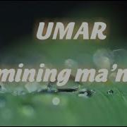 Umar Ismining Manosi