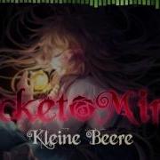 Pocket Mirror Kleine Beere