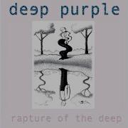 Deep Purple Clearly Quite Absurd