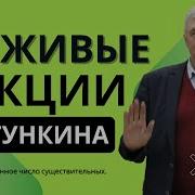 Драгункин