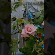 Где Ты Была Когда Бог Наказывал Меня