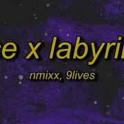 Morgue 9Lives X Nmixx