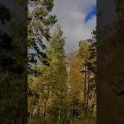 Я Рядом С Тобой Просто Ты Не Видишь Меня