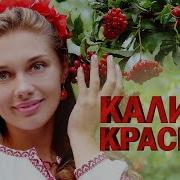 Сборник Калина Красная Скачать Бесплатно