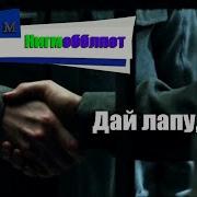 Владимир Златоустовский Дай Лапу Верный Друг
