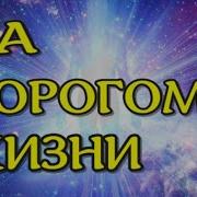 Книга Из Тонкого Мира