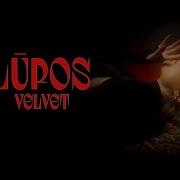 Velvet Lūpos