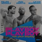 Playboy Andrei Stan Instrumentai Mix