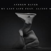 Andrew Bayer Alison May In My