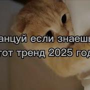 Если Ты Знаешь Эти Песни