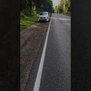 Армянский Бош Сигнал
