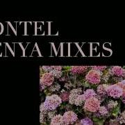 Dntel Enya Mixes