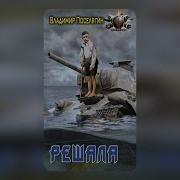 Владимир Поселягин Решала Книга 2