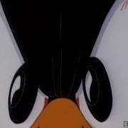 Daffy Duck This Is A Close Up