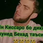 Киссахои Бехтарин