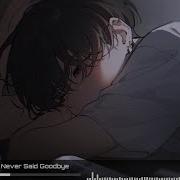 Wage War Nightcore Never Said Goodbye