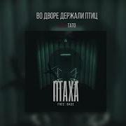 Во Дворе Держали Птиц Feat Тато Птаха