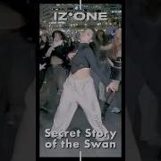 Secret Story Of The Swan Onsa Media