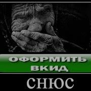 Мы Просто Кидаем Снюс Часто Не Понимая Вкус