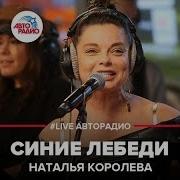 Синие Лебеди Ирина Франчук