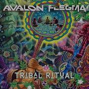 Avalon Flegma Tribal Ritual