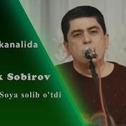 Og Abek Sobirov Soya Solib O Tdi