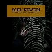 Welcome Schlindwein