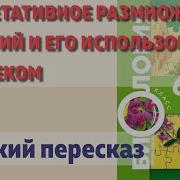 17 Параграф Биология 6 Класс