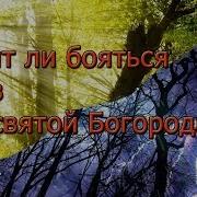 Сны Богородицы
