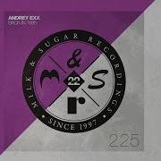 Andrey Exx Back In 1995 Original Mix