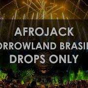 Afrojack Drops Only Tomorrowland Brasil 2024 Mainstage