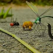 3D Lilia West Insects Part 1