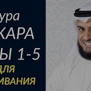 Сура Бакара 1 По 5 Аят