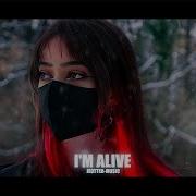 Alan Walkeralan Walker Jeotter Music I M Alive 2025