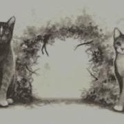 Riverclan Camp